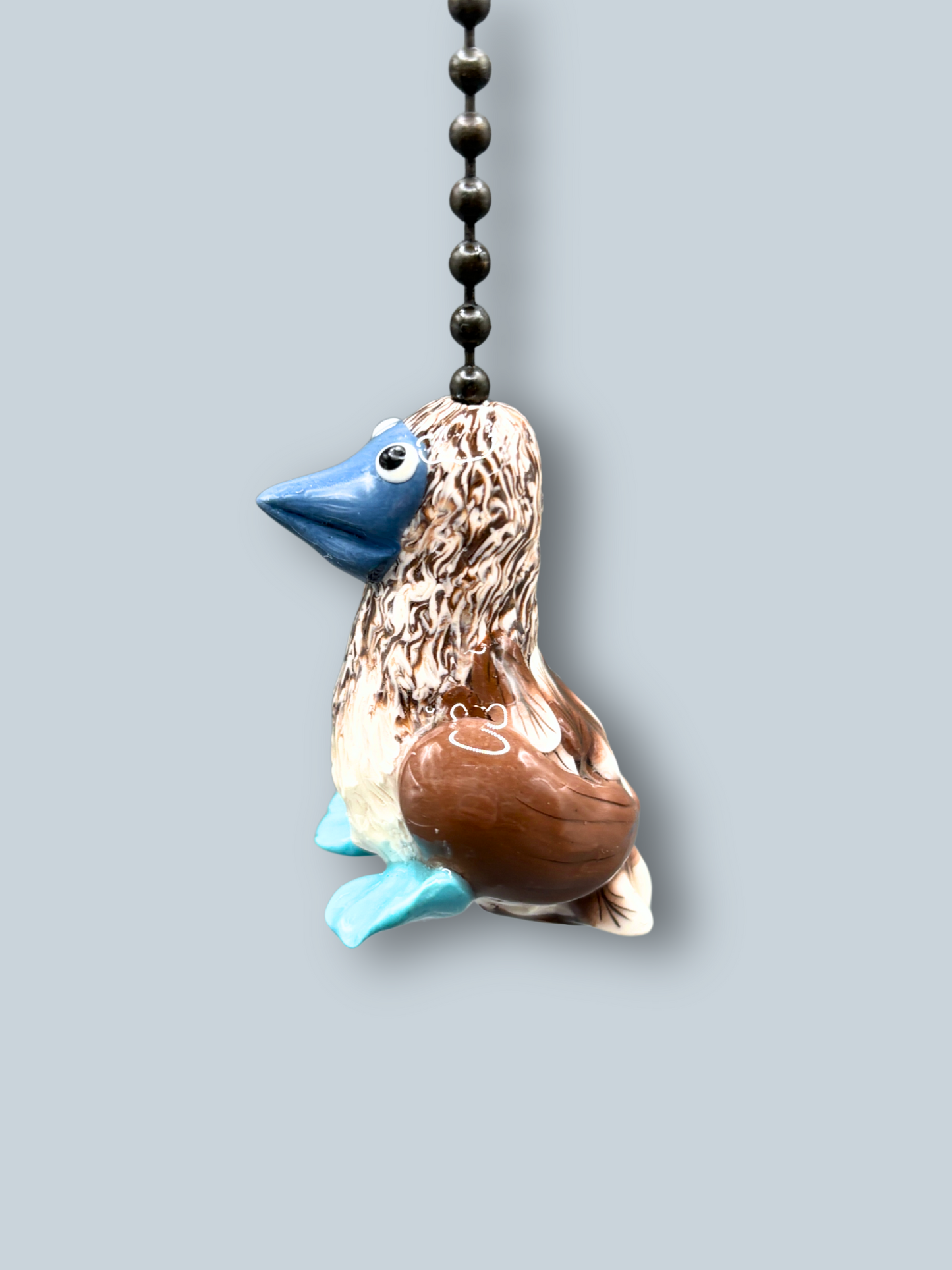 Blue Footed Booby Light Pull