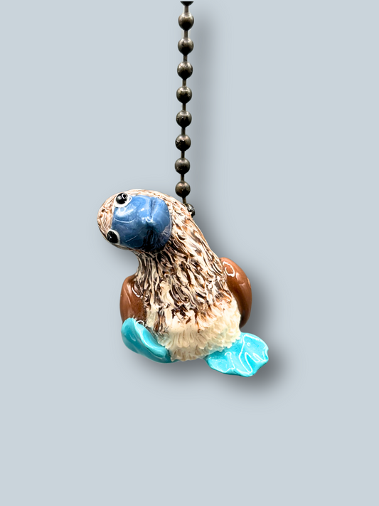 Blue Footed Booby Light Pull