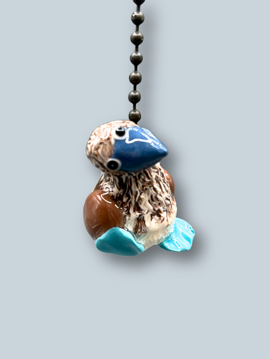 Blue Footed Booby Light Pull